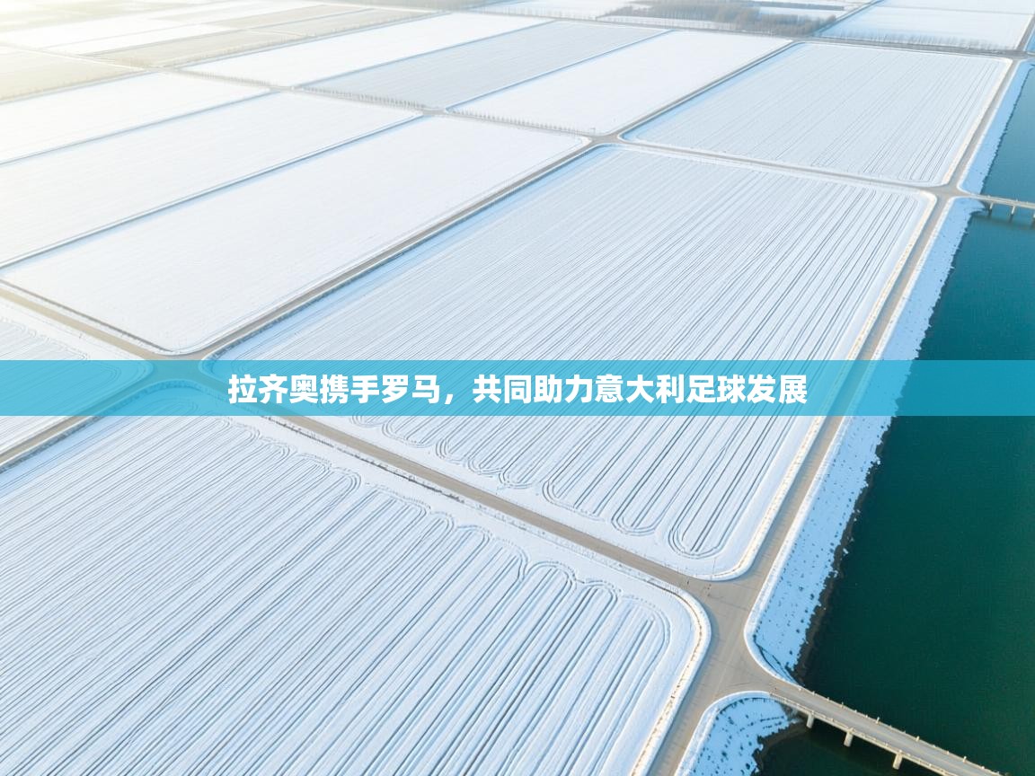 拉齐奥携手罗马，共同助力意大利足球发展